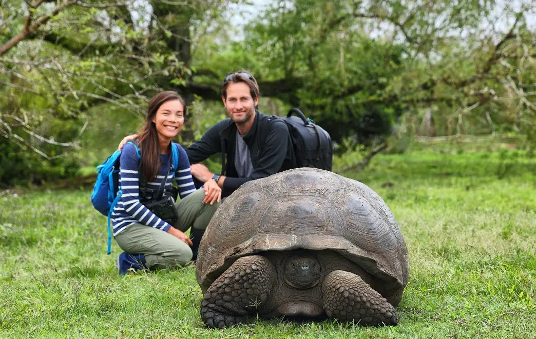Galapagos Trips Choosing the Right Way to Experience the Islands