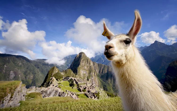 Machu Picchu, Experienced with Clarity