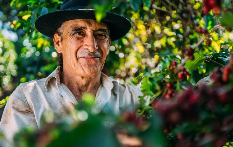 The Coffee Region_ Space and Simplicity