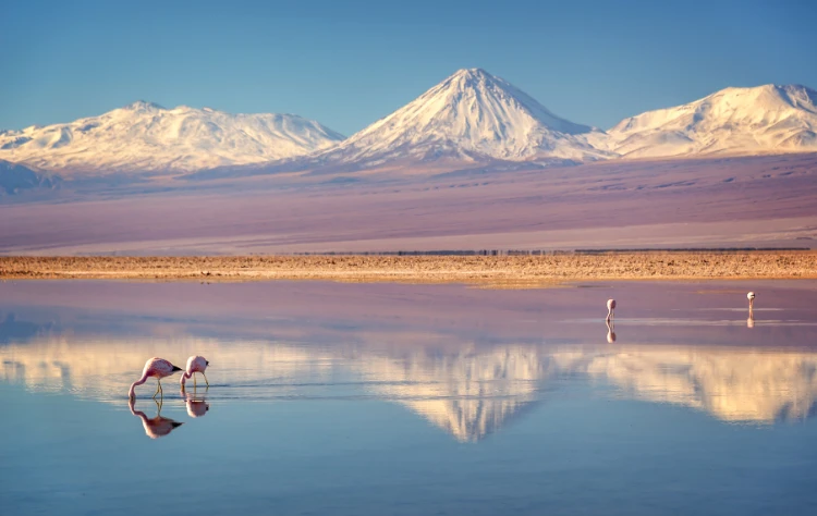 The Southern Deserts and High Landscapes