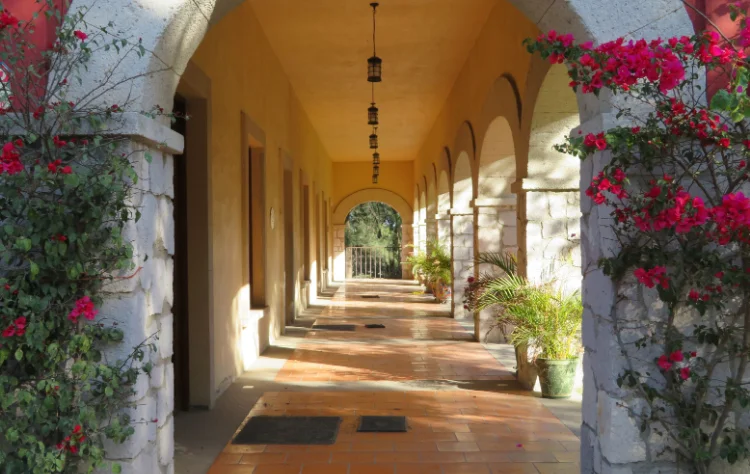 Where to Stay Within the Coffee Landscape