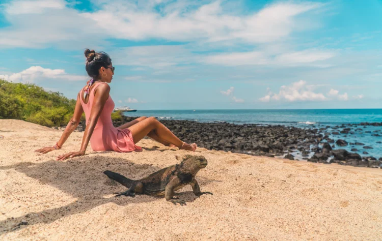 Wildlife Encounters_ Observation Without Interference