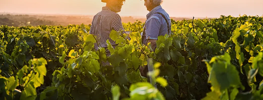 Argentina wine region travel