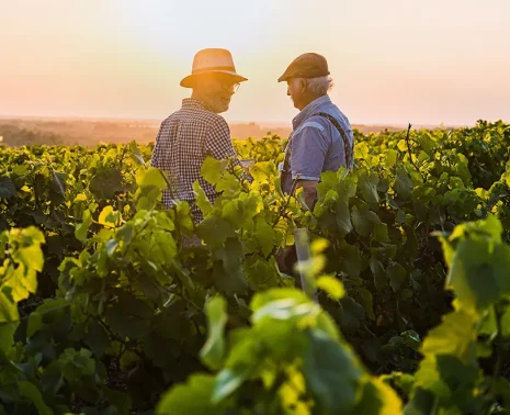 Argentina wine region travel