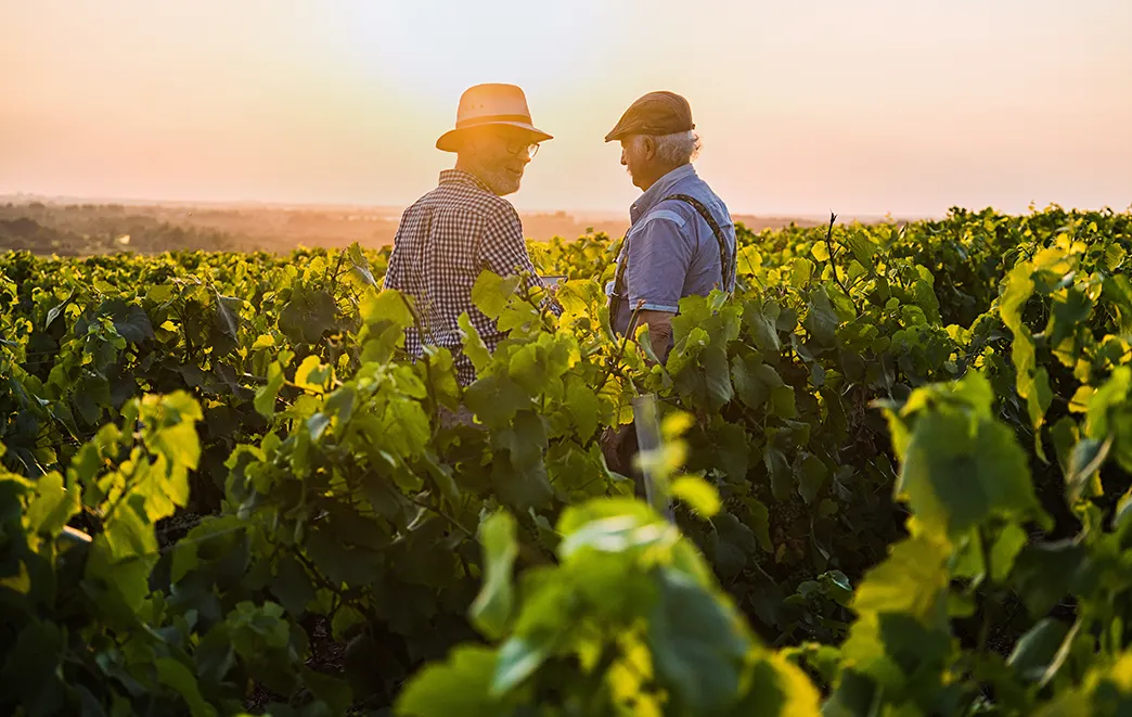 Argentina wine region travel