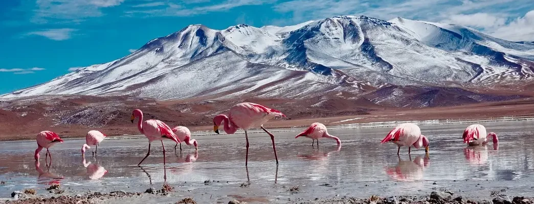 Bolivia Photography Journeys and the Art of Seeing Scale Differently