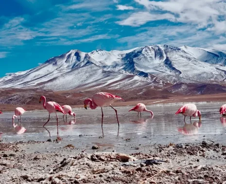 Bolivia Photography Journeys and the Art of Seeing Scale Differently