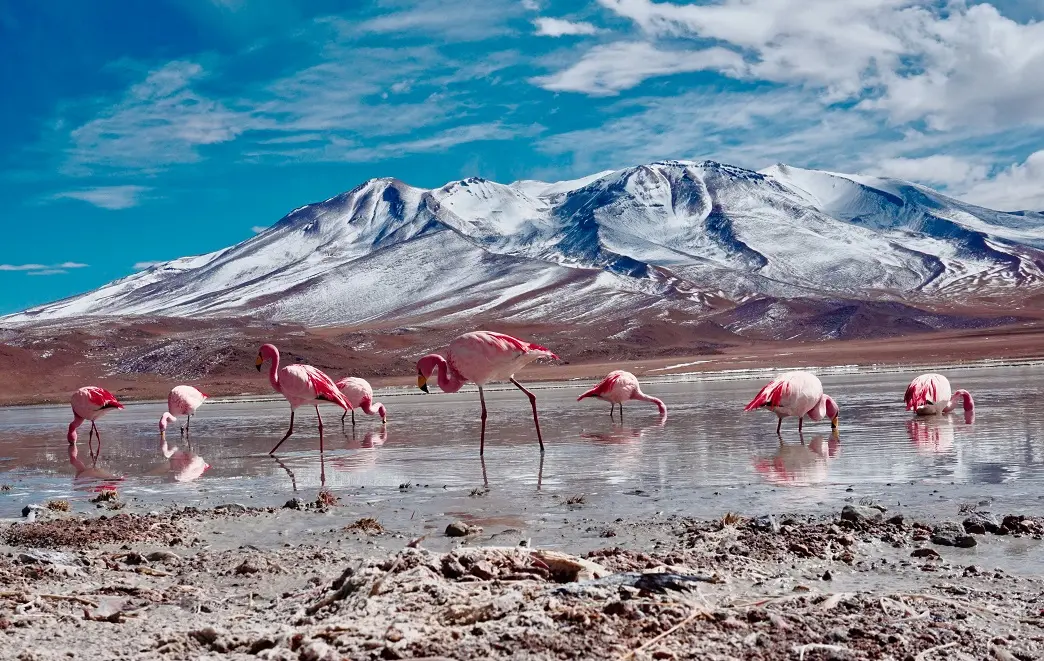 Bolivia Photography Journeys and the Art of Seeing Scale Differently