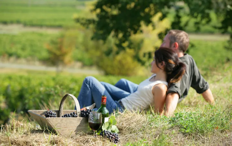 Chile’s Wine Regions and Thoughtful Simplicity