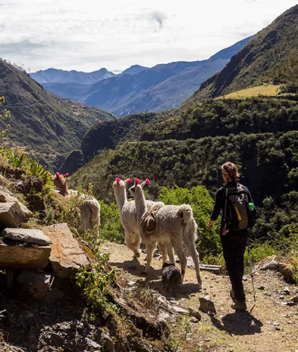 Lares Trek