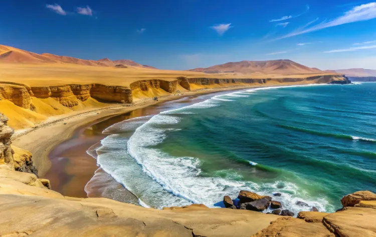 Paracas and the Southern Coast