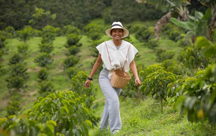 The Coffee Region Presence Over Activity