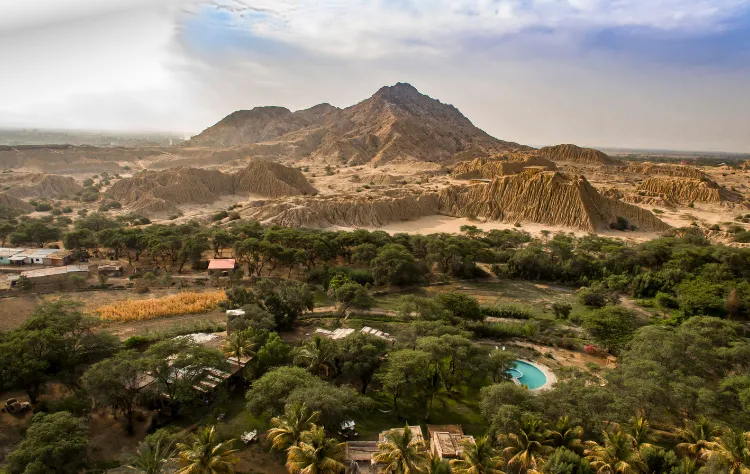 The Southern Coast and Desert Civilizations