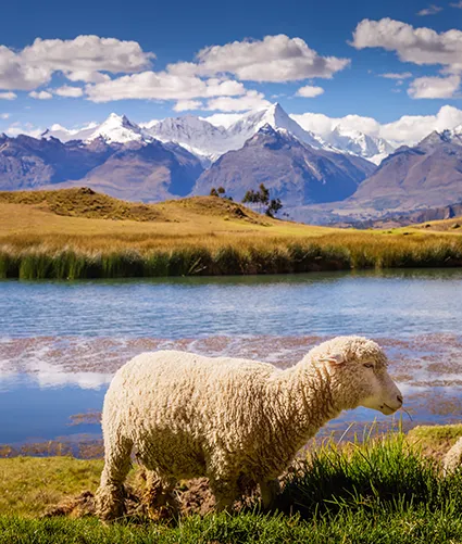 Wilcacocha Lake Huaraz