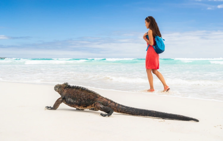 Wildlife and Culture as Complementary Experiences