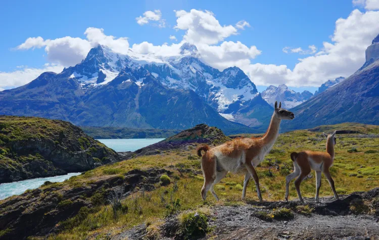 Patagonia and the Scale of Exposure