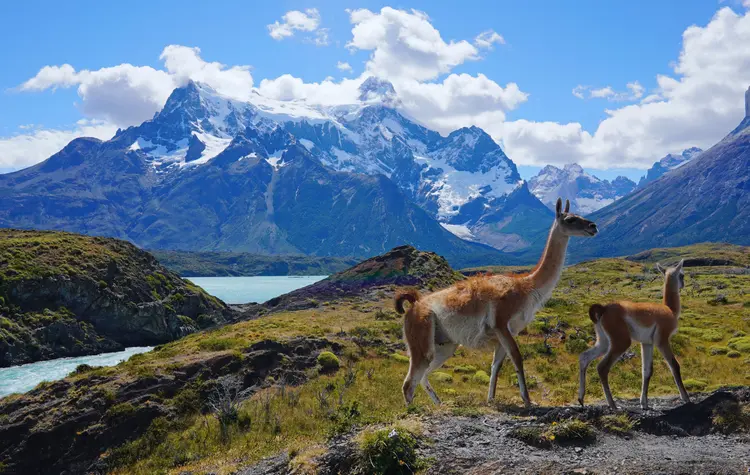Patagonia