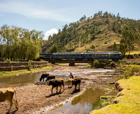 Peru Travel Experiences for Every Type of Traveler