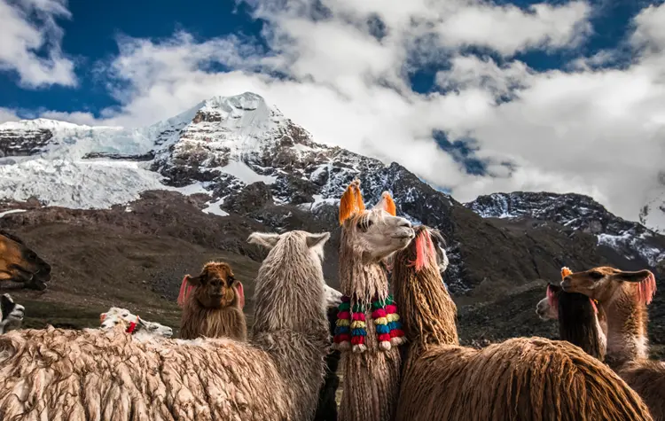 Peru and the Continuity of the Andes