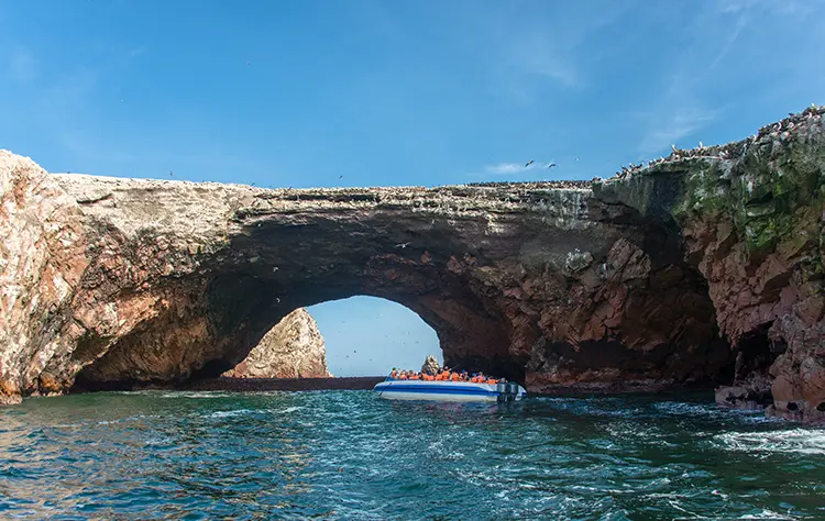 The South Coast Ballestas Island