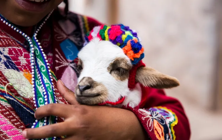 Why Peru Requires More Than Standard Itinerary Planning