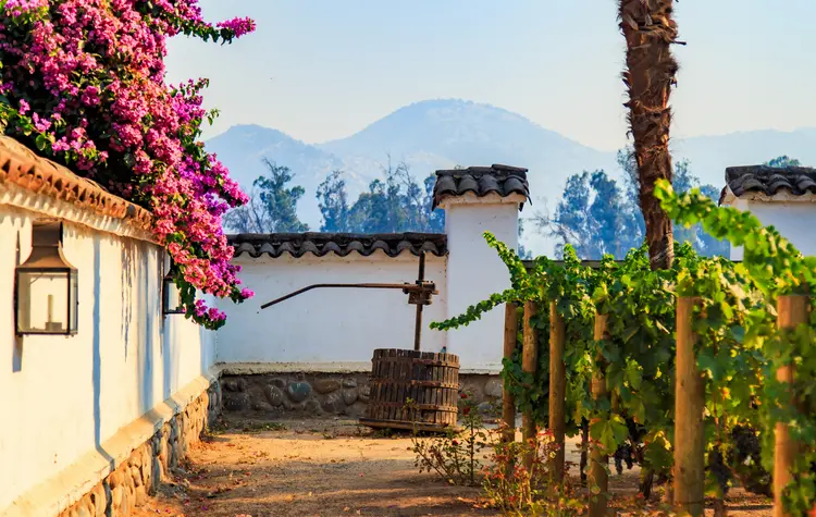Wine country and slower forms of luxury