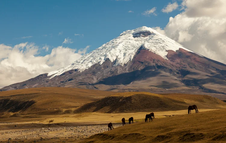 Cotopaxi and the Experience of Openness