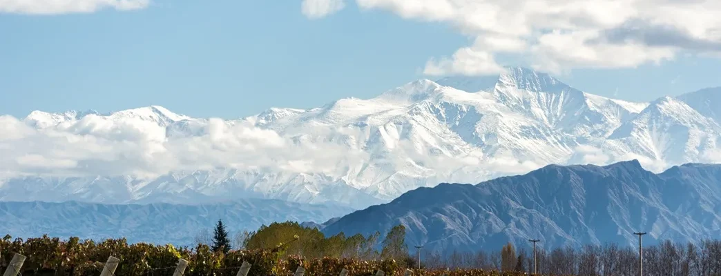 Mendoza Culinary Travel and the Relationship Between Landscape, Wine, and Pace