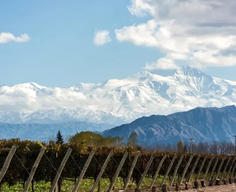 Mendoza Culinary Travel and the Relationship Between Landscape, Wine, and Pace