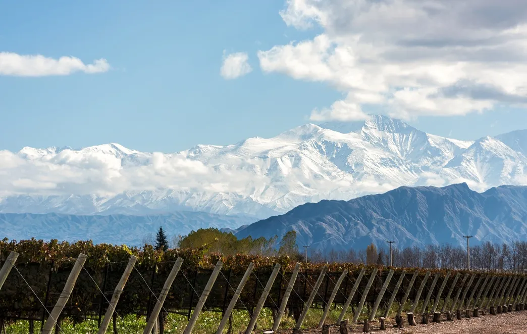 Mendoza Culinary Travel and the Relationship Between Landscape, Wine, and Pace