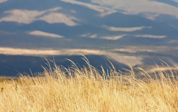 Mendoza Is Defined by the Andes