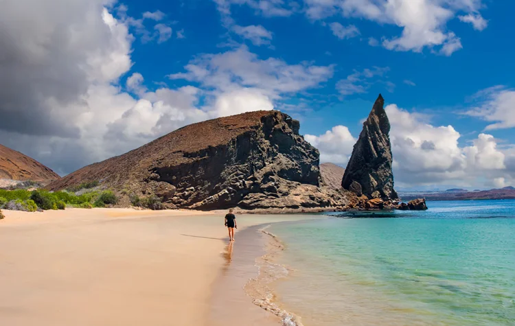 The Galápagos and a Different Relationship With Travel