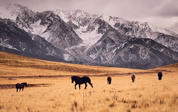 The Andes A Constant Presence
